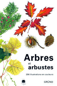 Arbres et arbustes