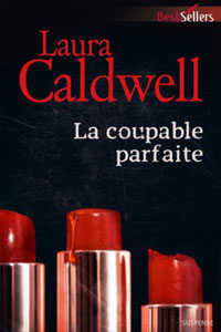 La coupable parfaite T4