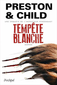 Tempête blanche T13